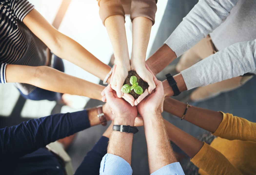 Team Collaboration